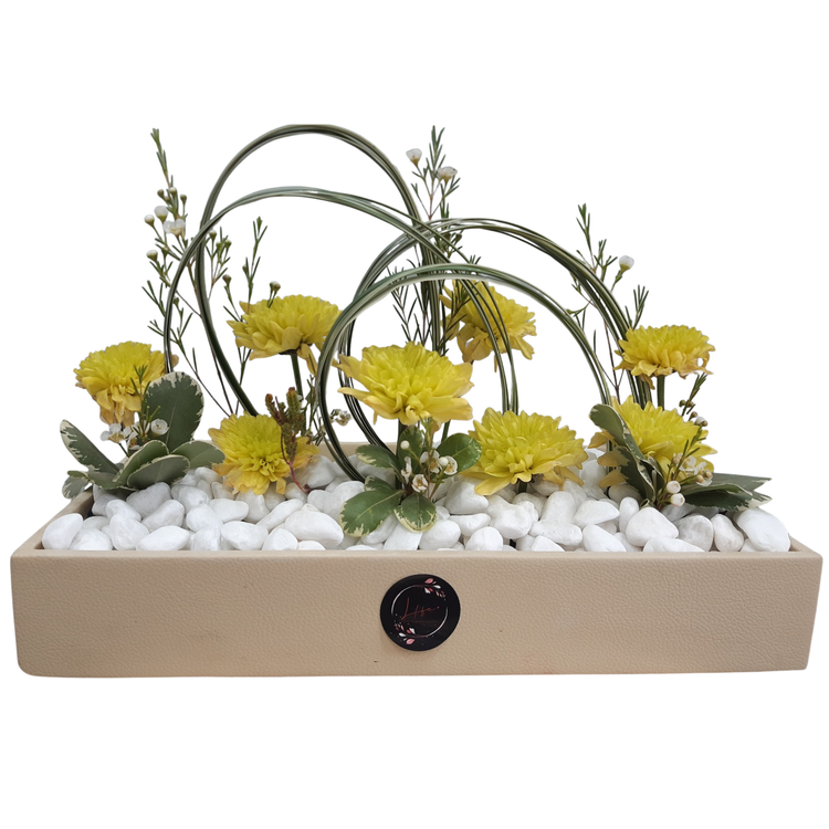 Tabletop Gardens
