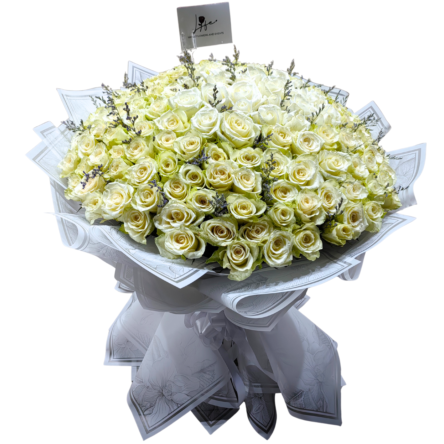 Hand-tied bouquet of 100 fresh white roses wrapped in elegant white floral paper with ribbon, ideal for bridal and wedding occasions.